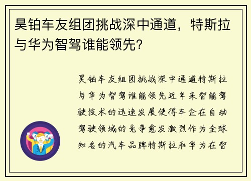 昊铂车友组团挑战深中通道，特斯拉与华为智驾谁能领先？