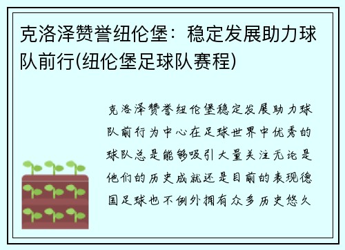 克洛泽赞誉纽伦堡：稳定发展助力球队前行(纽伦堡足球队赛程)