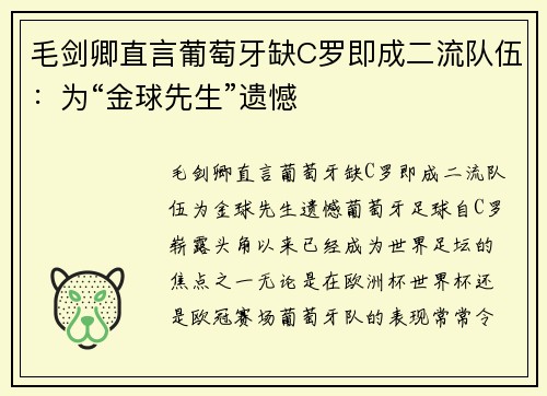 毛剑卿直言葡萄牙缺C罗即成二流队伍：为“金球先生”遗憾